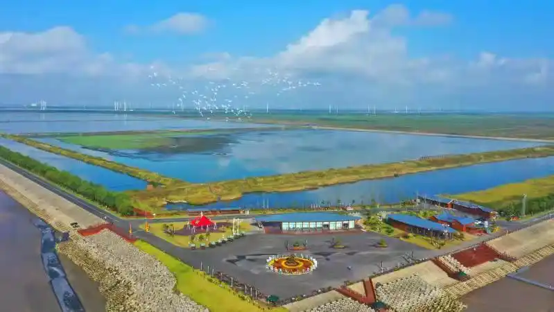 盐城东台条子泥荣膺美丽海湾优秀案例