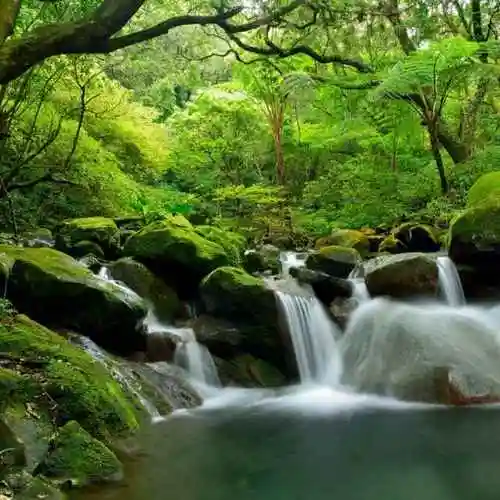 绿水青山96883头像