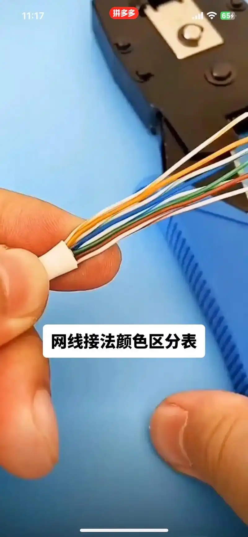 网线接法颜色区分表 排列1～8 #专业的事交给专业的人 #加 - 抖音