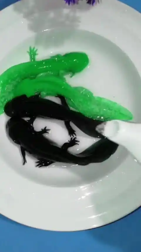 会变色的娃娃鱼,这个也太酷了吧?