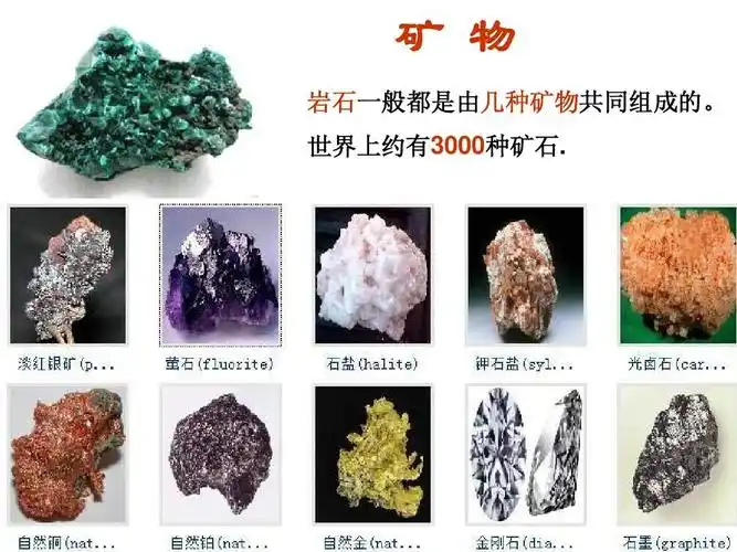 17三年级语文石头书2ppt