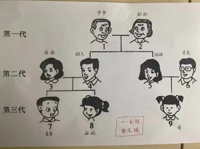 一年级七班 家族成员结构图