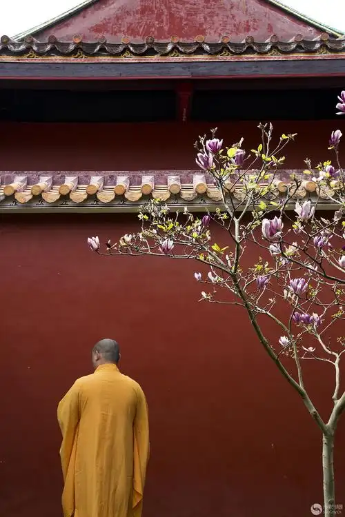 "徒步"杯摄影月赛四月——《玉堂春·禅意》 作者:stone (组图)