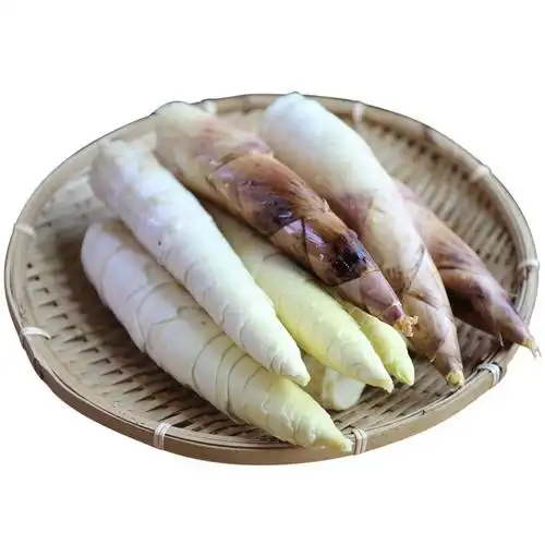 临安天目山雷笋 春笋 新鲜现挖竹笋 冬笋 5斤