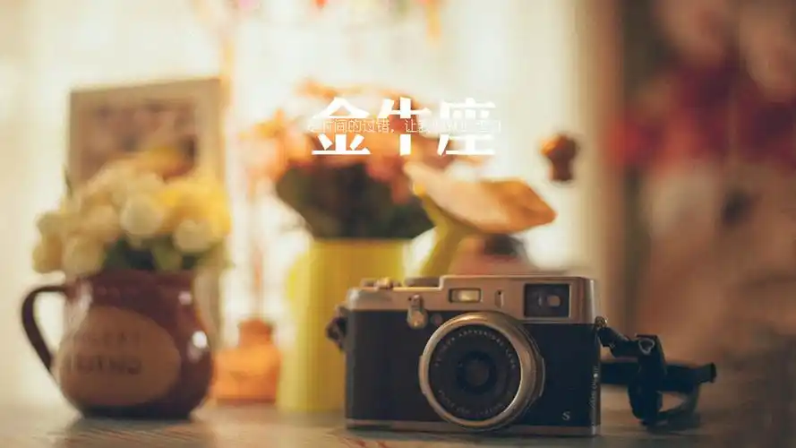 金牛座语录壁纸