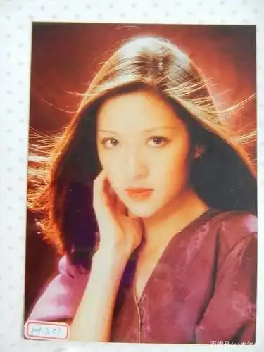 台前是明星,回家是凡人.胡因梦:偶像只能远观