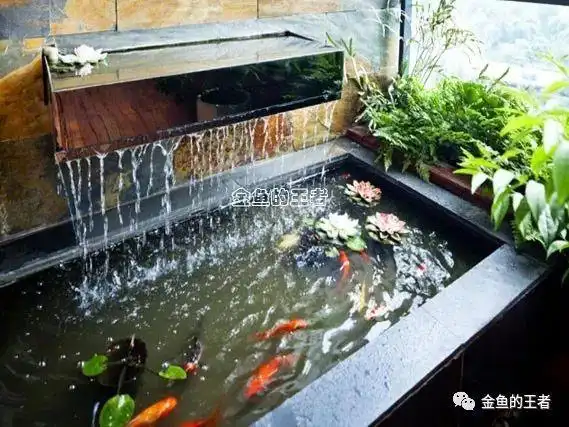 建鱼池,再也不需要半亩地和后花园了!_设计