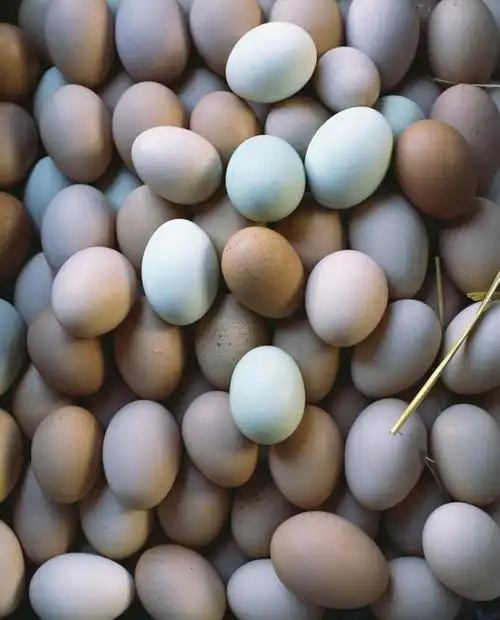 白天,桌面,桌子,一堆,许多,阴影,堆叠,堆积,反射,木制,影子,蛋,鸡蛋