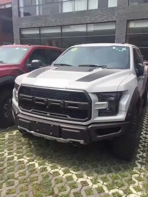 白色猛禽还是很好看的,我喜欢叫他大白