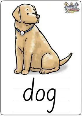 少儿英语学习卡片(动物篇)