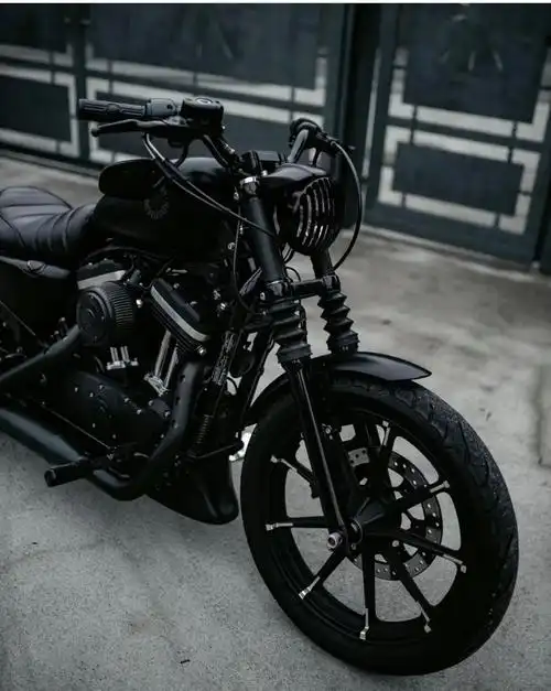 哈雷入门级883硬汉_摩托车_懂车帝