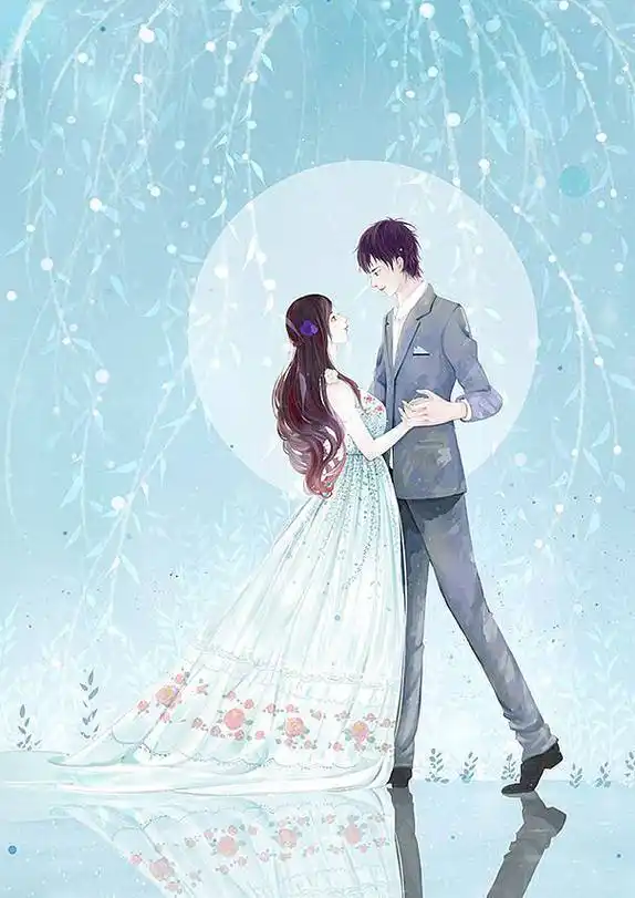 封面底图青春素锦现言