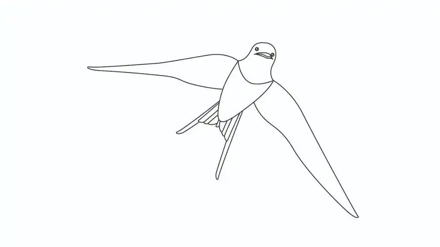 大雁简笔画步骤 - 懂得
