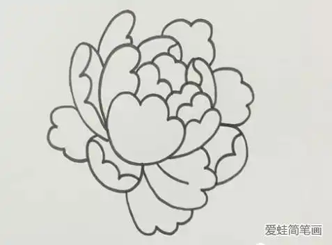 好看的牡丹花_牡丹花-简笔画大全