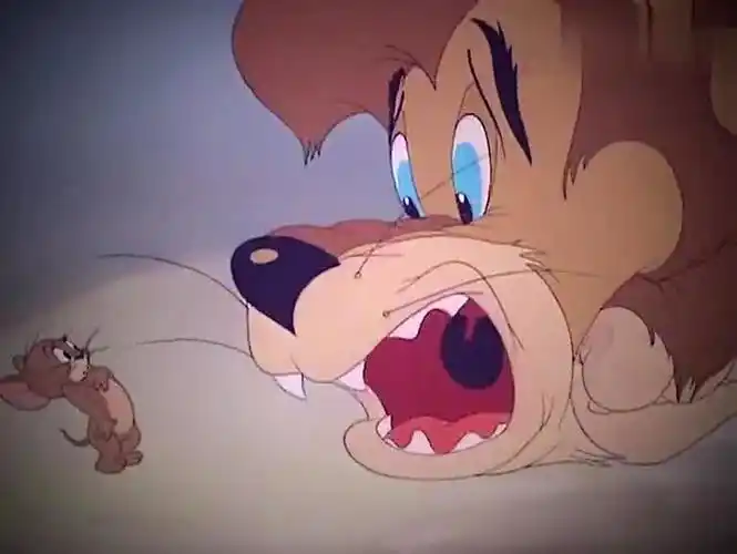 猫和老鼠杰瑞真仗义,大狮子肚子饿了,去汤姆家偷吃的