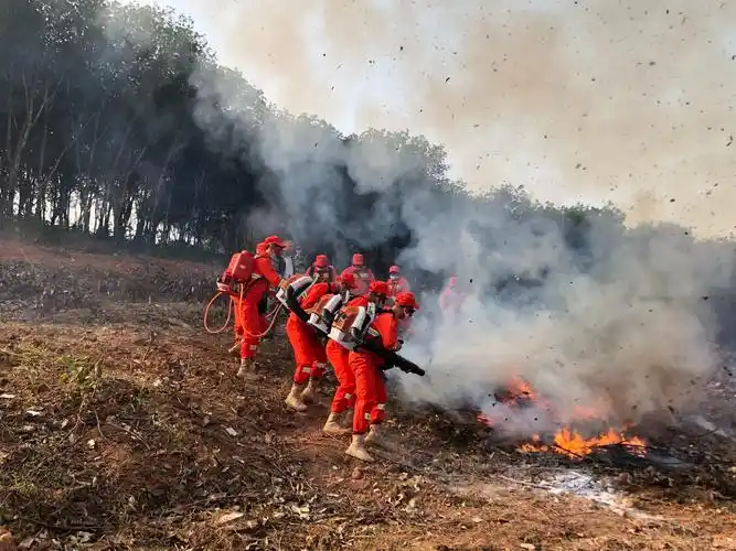 嘎洒镇开展森林防火实战演练