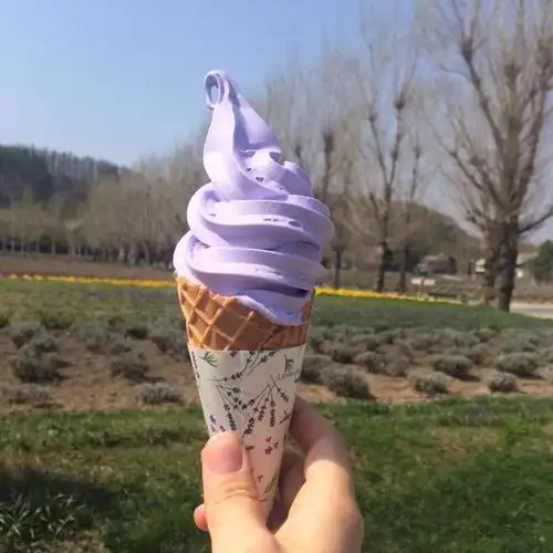 已经不想描述北海道的冰淇淋味道有多棒了…… 富良野