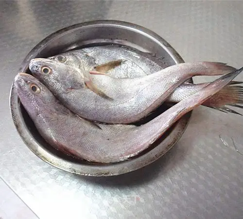 干烧敏鱼的做法步骤