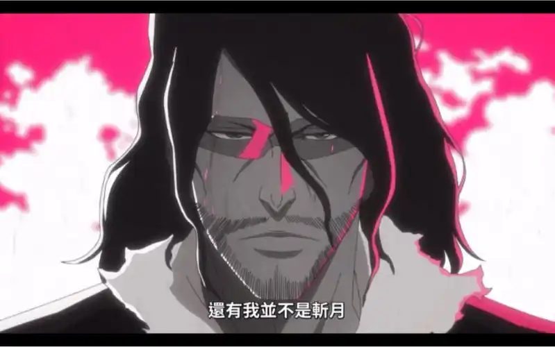 the blade is me,谢谢你,斩月大叔