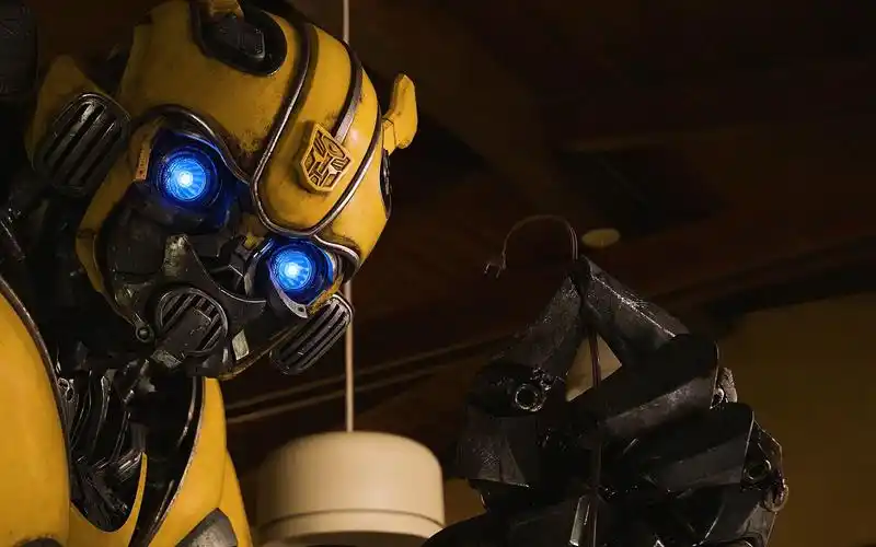 第一次接触地球的呆萌大黄蜂你爱了吗