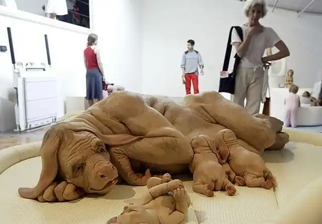 日本培育出半人半猪,拥有人类器官,随时取出!到底准备做什么?