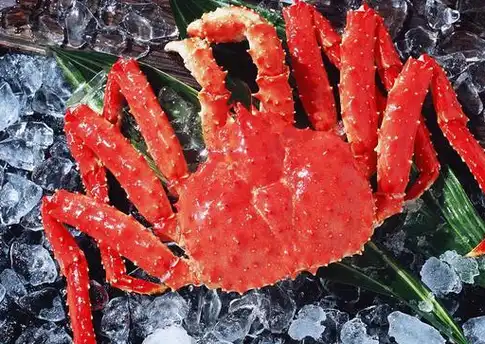 捕捞帝王蟹有多惊险?5天10万美元的报酬都没人愿意做!