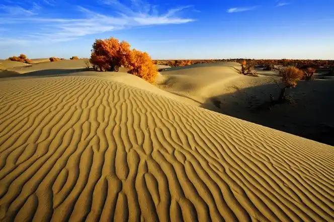 51:37|  分类:美景与旅游|  标签:|举报|字号大中小 订阅      用微信