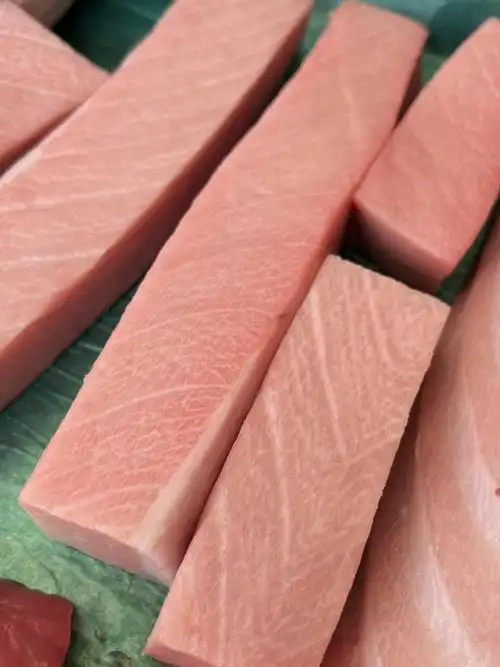 冰鲜蓝鳍金枪鱼大腹