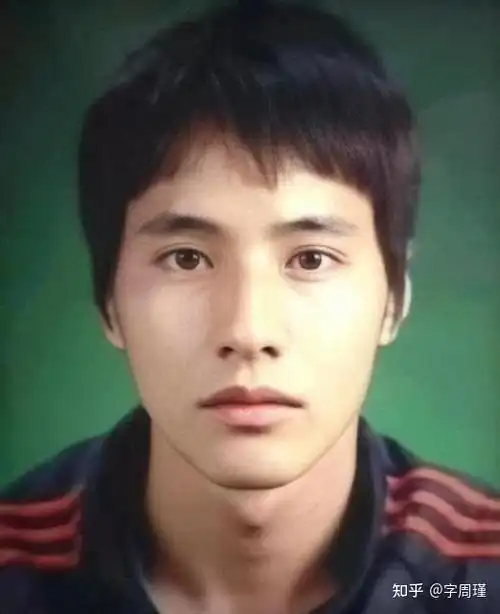 如何评价元斌的长相?