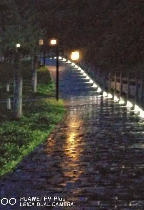 雨中漫步