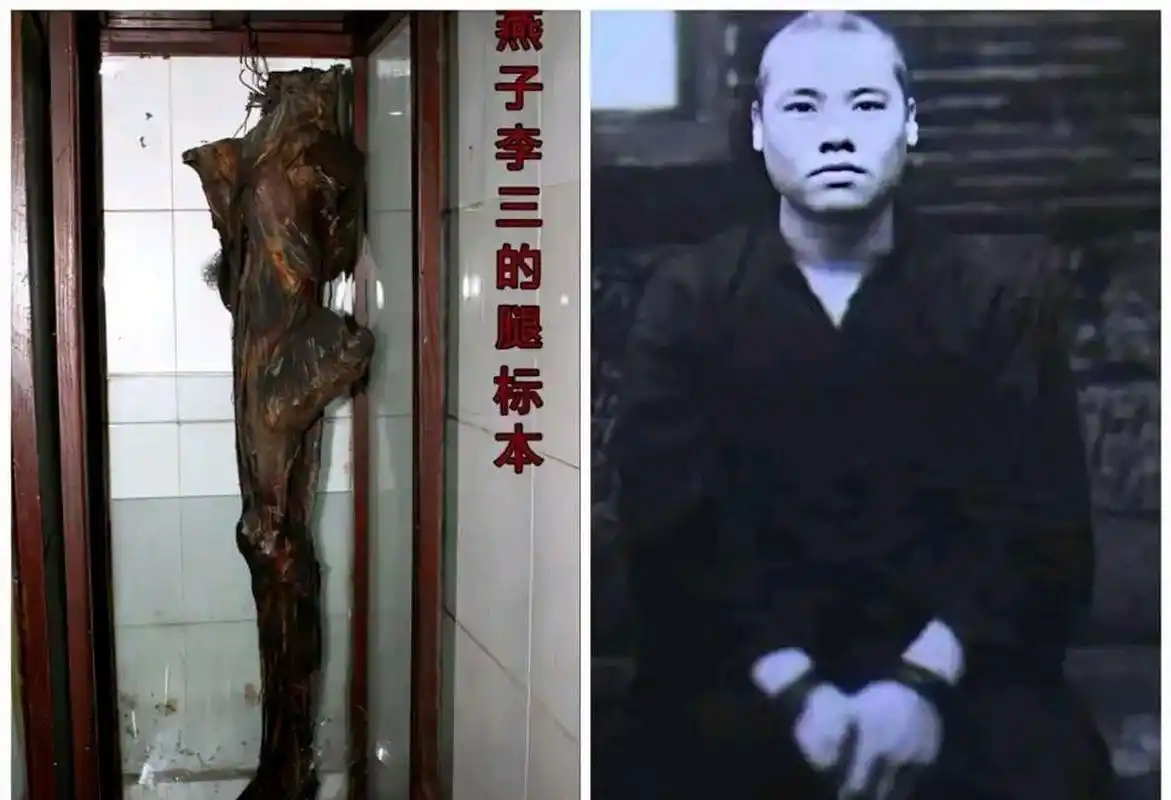 "这就是燕子李三的大腿!