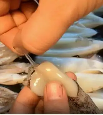 6,清洗干净的海兔.