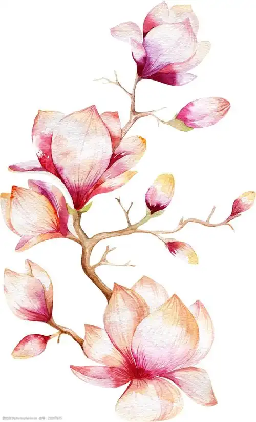 粉色桃花卡通透明素材