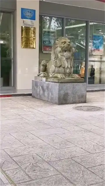 路过中国银行门口,发现两个石狮子表情不一样,这是什么原理?