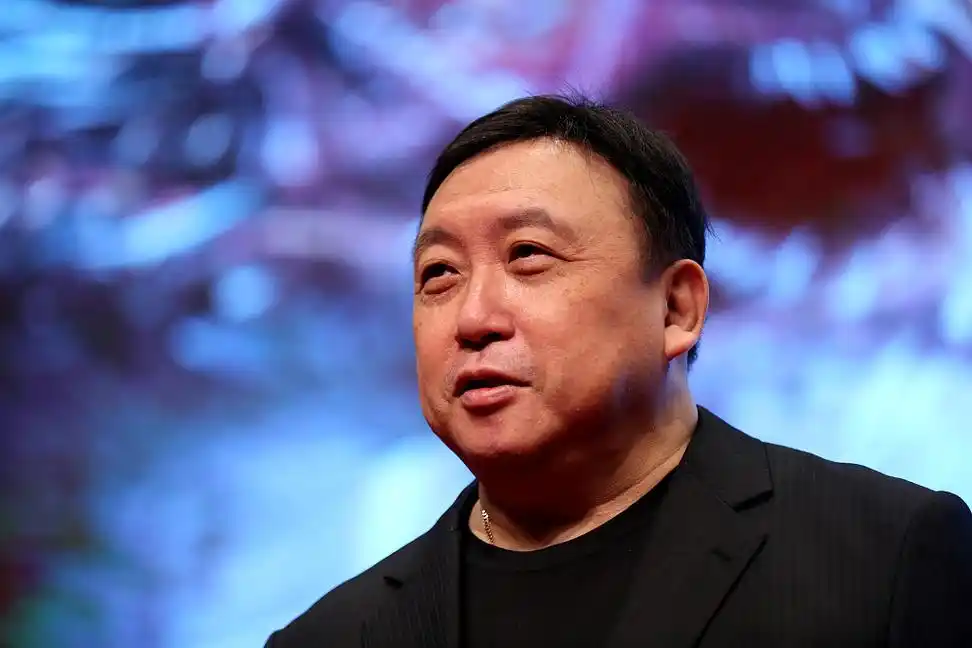 王晶资料图 图源视觉中国