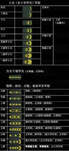 3,军衔(肩章)13预备役胸章13战略支援部队胸章13火箭军胸章13