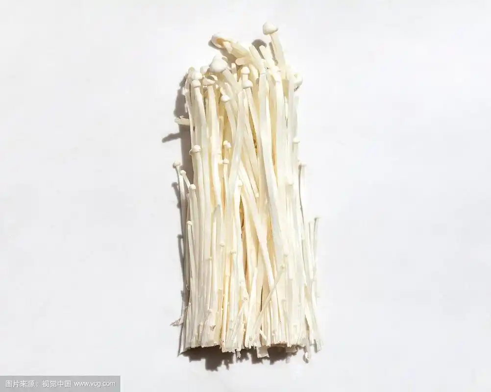 一颗金针菇在白色背景上