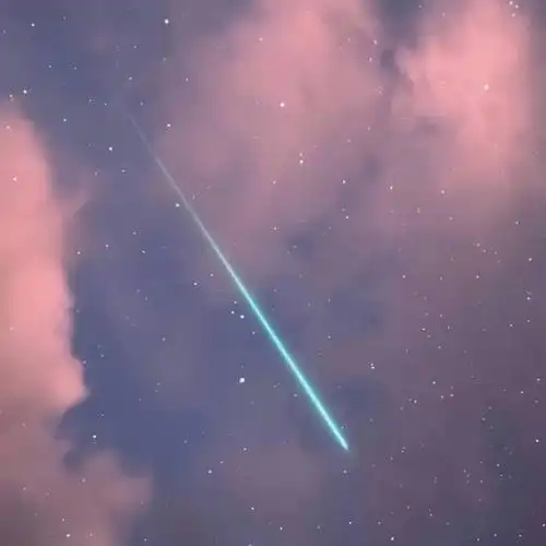 2021简单头像高清好看的2021微信头像简单清新图片