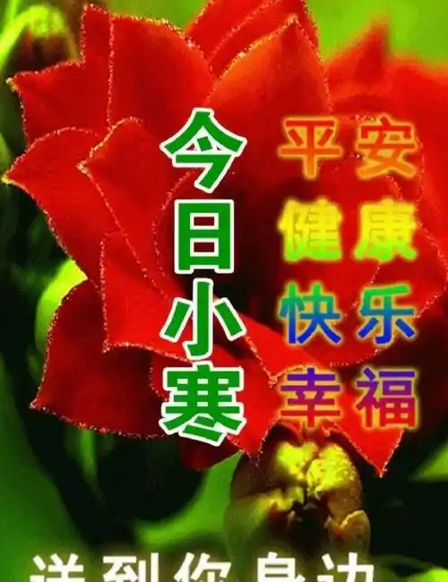 愉快 早上好温馨表情包图片带字 小寒祝福语图片大全_问候_平安_时刻