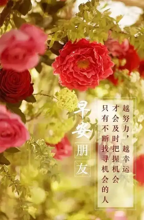 最新早安图片带字励志早晨正能量激励人心的精辟语录