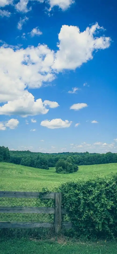 9大自然深处的风景打开新页南昭浅关注10油画风聊天背景图(3)(收藏