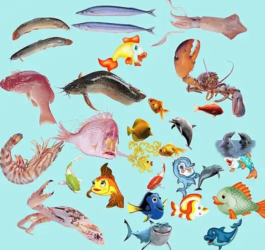 海洋生物图片