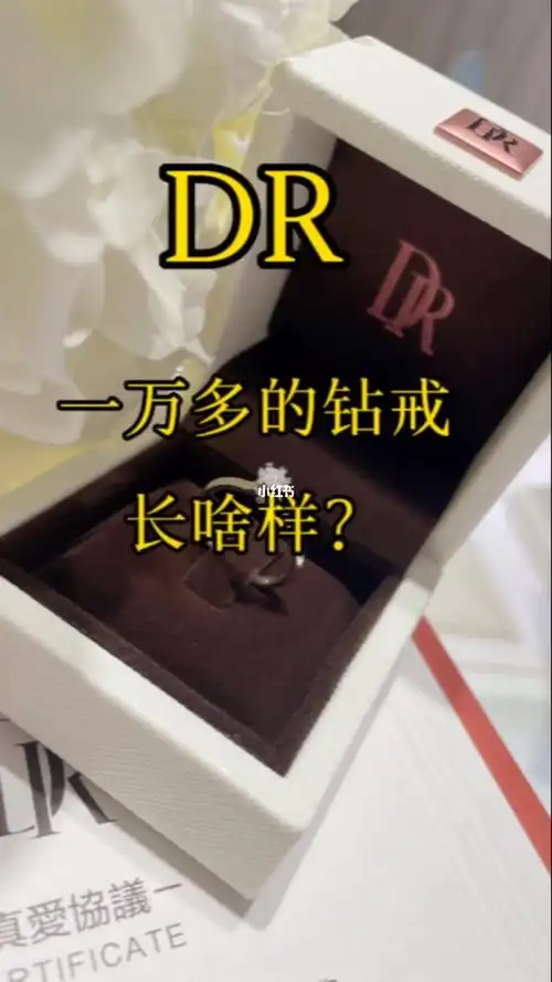 dr一万多的钻戒