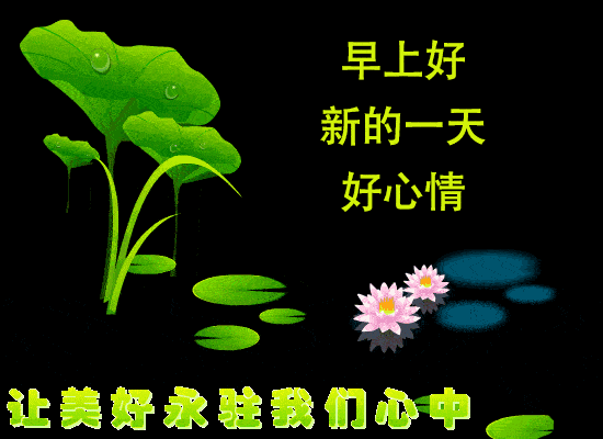 周四清晨早上好温馨祝福图片漂亮表情早安祝福问候漂亮图片