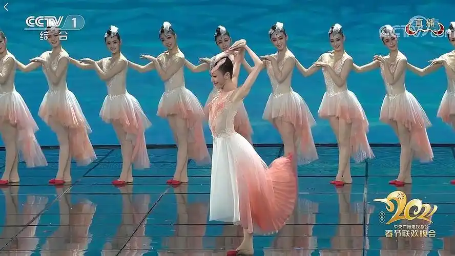 赞央视春晚舞蹈"朱鹮"