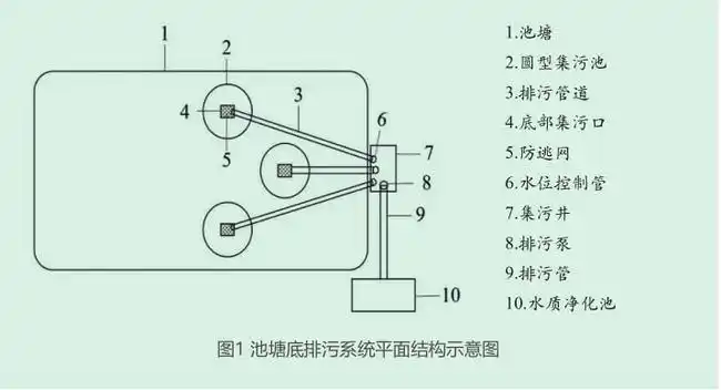 池塘底排污技术应用于草鱼精养模式的探索与研究