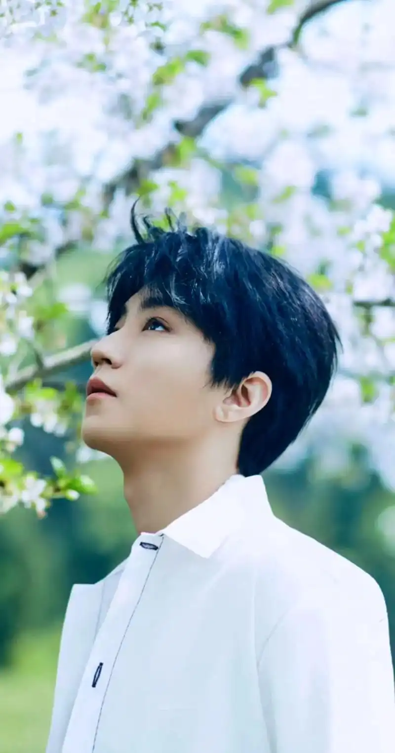 王俊凯金尘茶 阳光帅气boy - 抖音