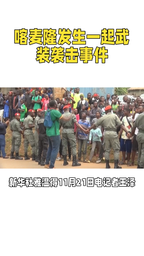 喀麦隆发生一起武装袭击事件-度小视