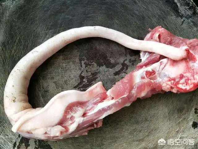 猪尾巴煲什么汤比较好喝怎样做好煲汤呢