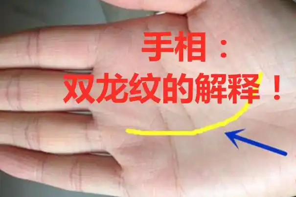 手相手有双龙纹富贵又有福77